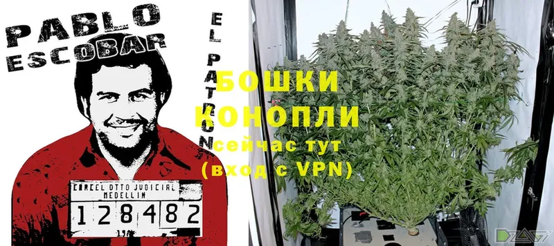 Шишки марихуана LSD WEED  Власиха 